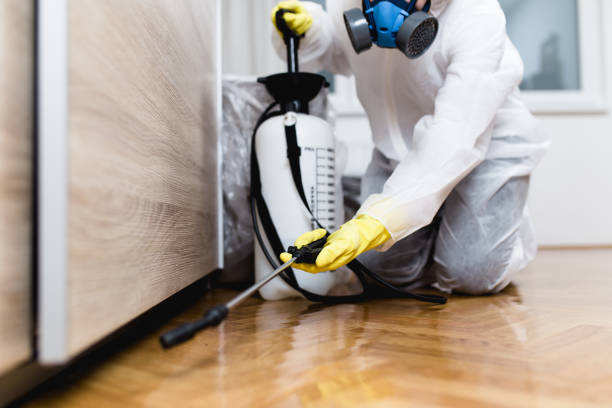 Best Pest Prevention Services  in Verona, MS