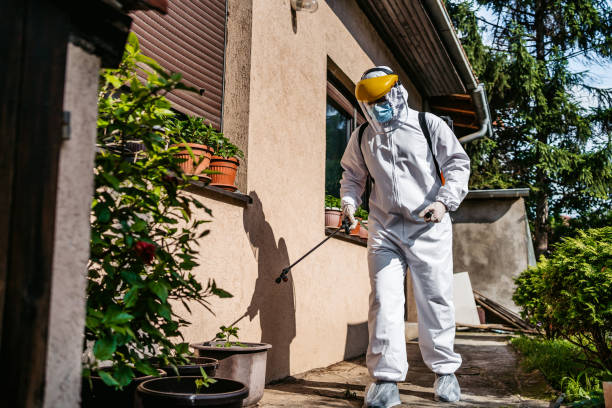 Best Exterminator Services  in Verona, MS